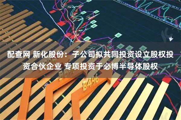 配查网 新化股份：子公司拟共同投资设立股权投资合伙企业 专项投资于必博半导体股权