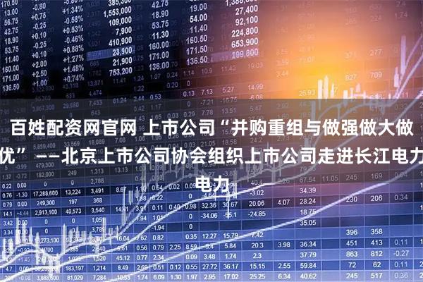 百姓配资网官网 上市公司“并购重组与做强做大做优” ——北京上市公司协会组织上市公司走进长江电力
