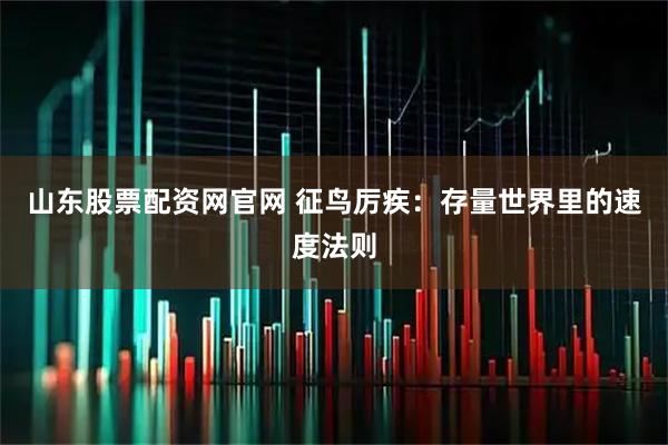 山东股票配资网官网 征鸟厉疾：存量世界里的速度法则